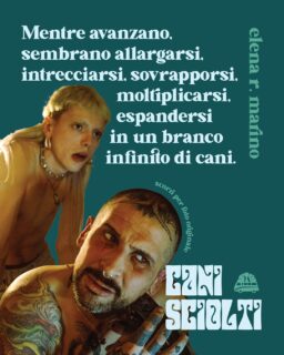 Non sono cani, ma sanno abbaiare come se lo fossero. E la città diventa una preda. “Cani sciolti”, il racconto di Elena R. Marino, è online con le fotografie di Elena Lionetti. Una notte qualunque, un rumore che la cambia. E un branco che si allarga.