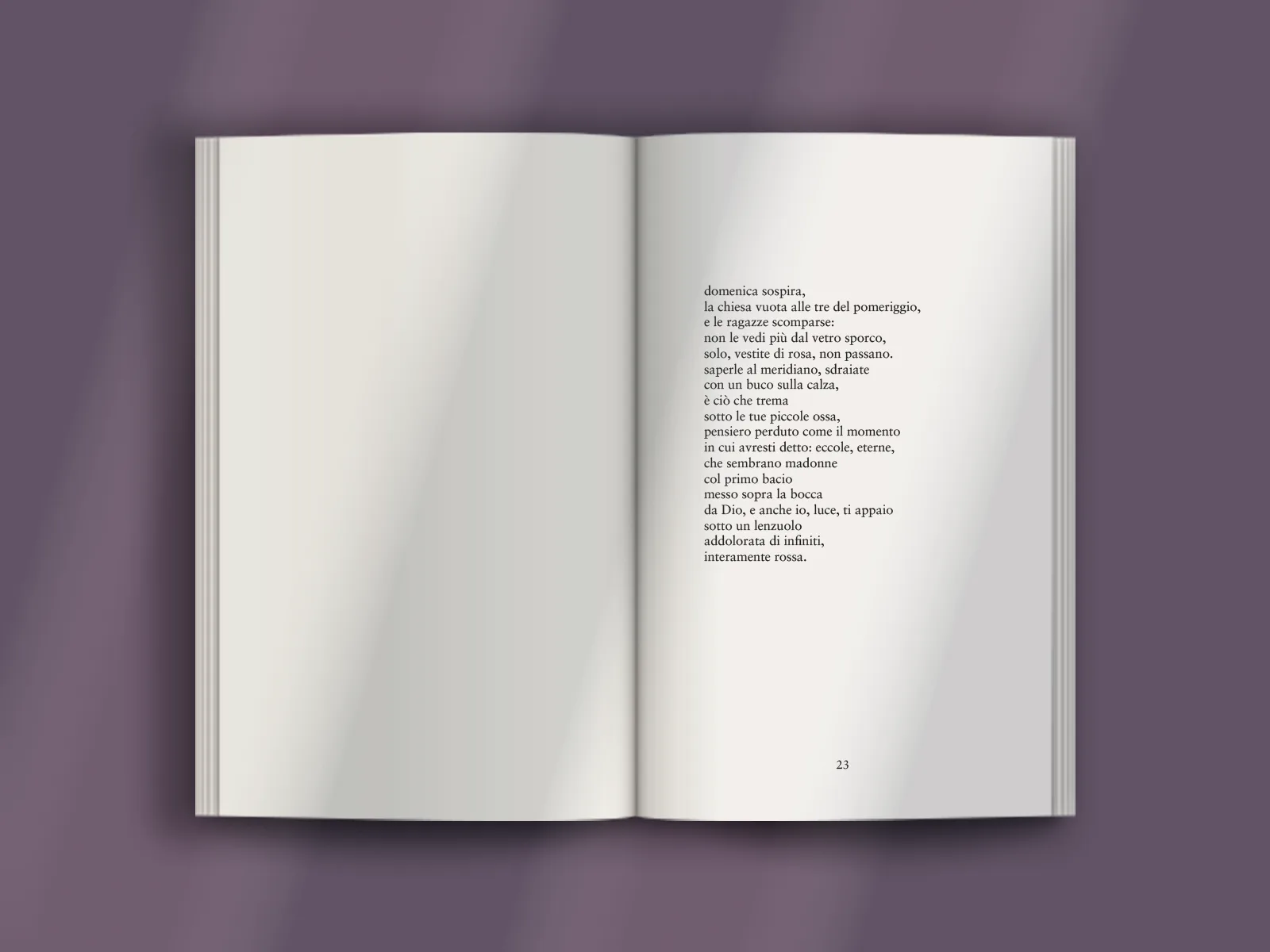 Piccola stregheria - immagine 6